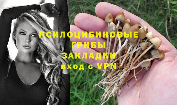 мет Абинск