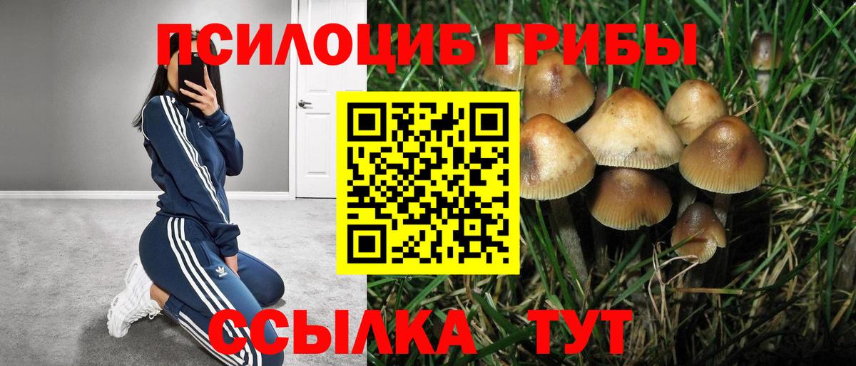 Псилоцибиновые грибы мухоморы  Вход с VPN  Галлюциногенные грибы GOLDEN TEACHER  Ялта 